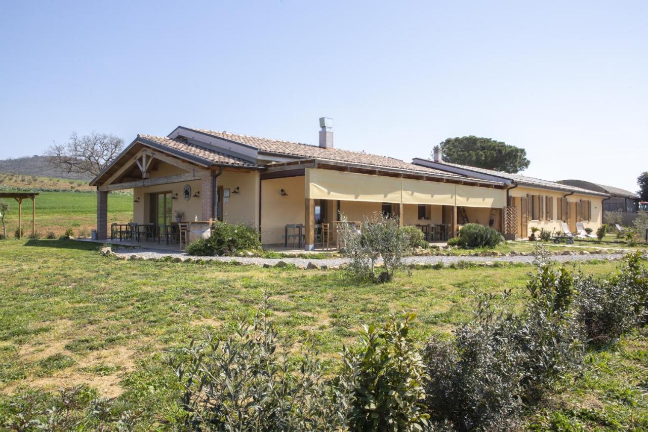 Agriturismo Casa Ricci Villa Magliano in Toscana Exterior foto